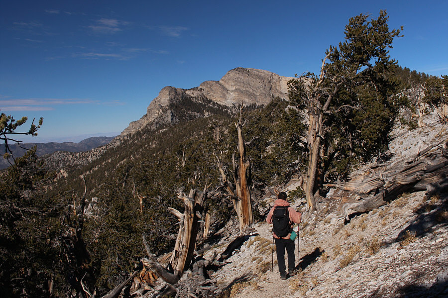 Looks far away still!