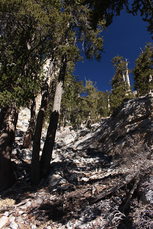 Get ready for a steep grunt...