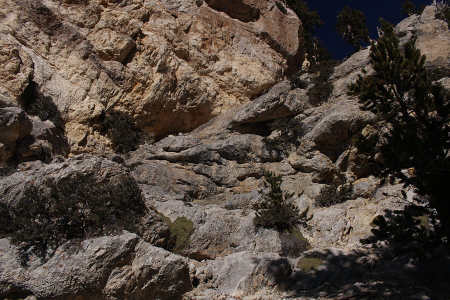 Time for some hands-on scrambling!