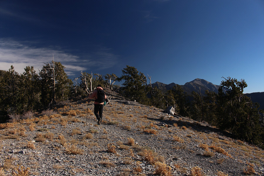 Lotsa uphill still to come...DOH!