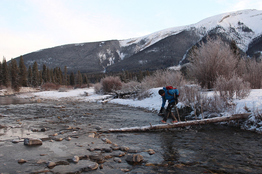 The log was solid and not slippery at all.