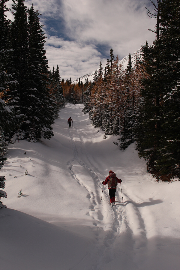Some bear actually broke trail for us for part of the way up the road!