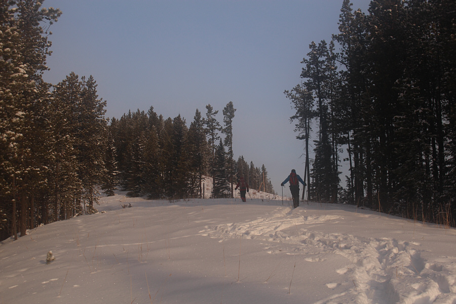 Should we be worried that no one else has come this way??