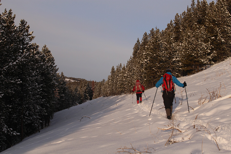 Maybe this won't be so bad after all...