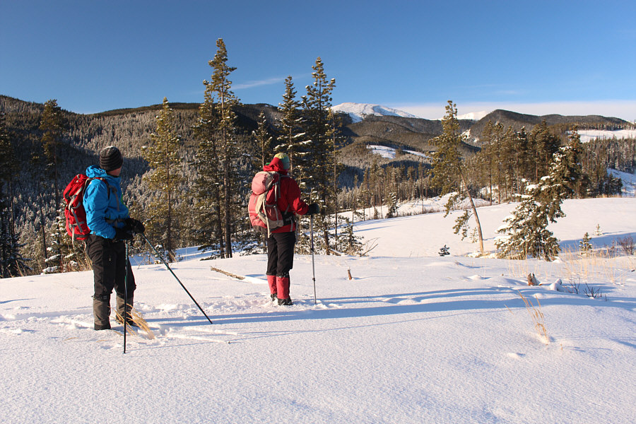 This is as good as it gets for views!