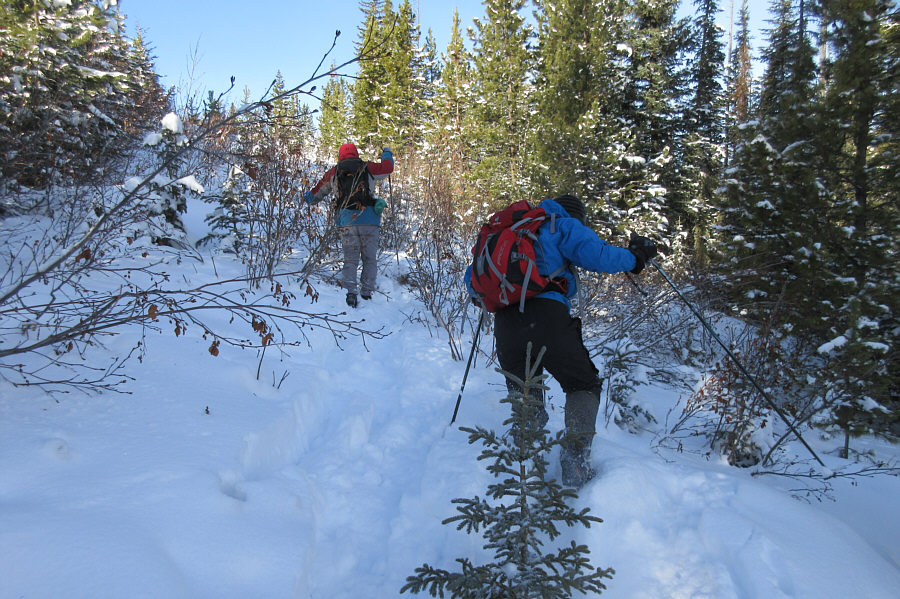 We shoulda listened to Ali and turned around here!