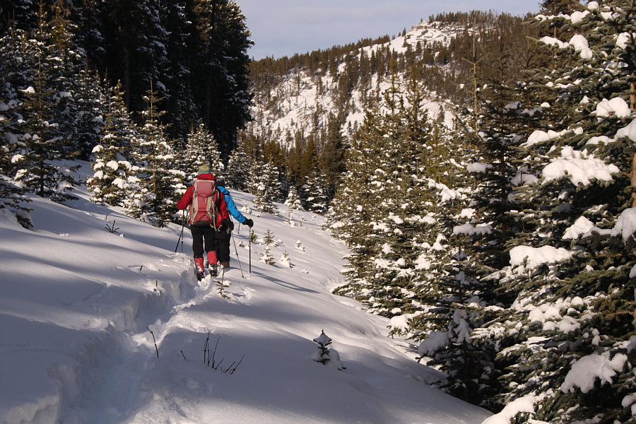 At least we're starting to go downhill now!