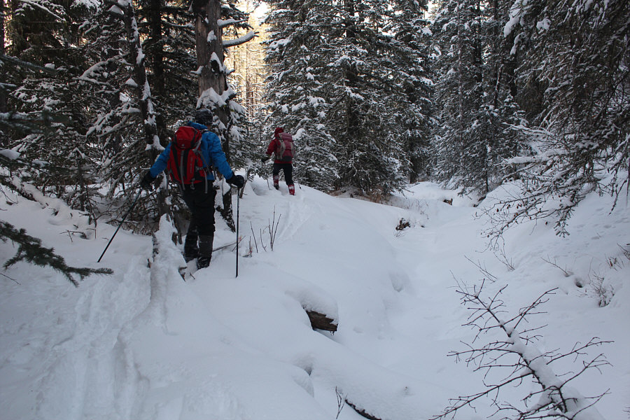 Not bad skiing here, but watch out for wet spots!