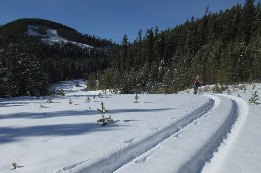 The worst is over...I think!