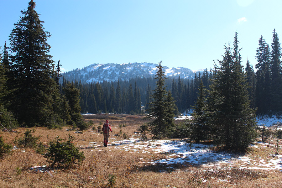 We actually missed the turnoff on the way in, but it just felt nice to be out of the forest for a change.