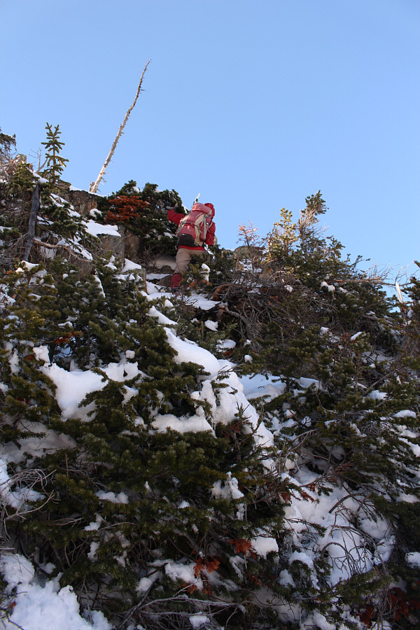Zosia's not afraid to get down and dirty!