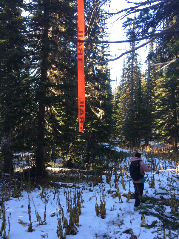 Don't be a hiking snob--leave flagging as is! In fact, this trail could use more flagging tape!