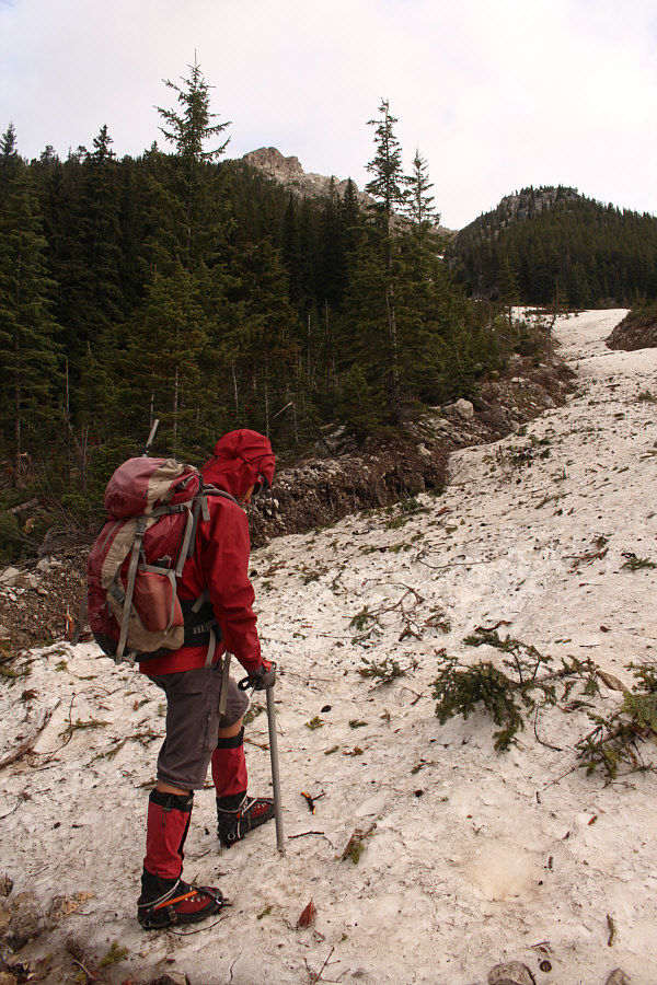 Let the long uphill grind begin...