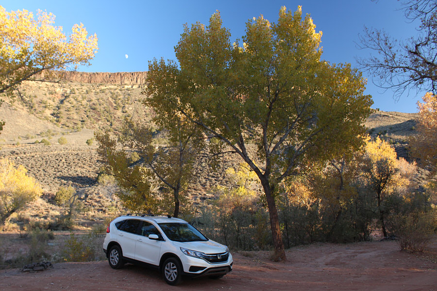 Good location but no toilet.