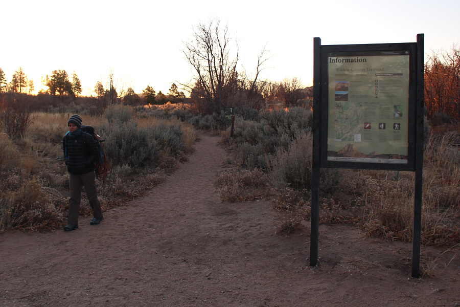 She's one tough lady!