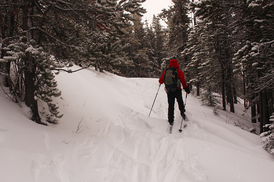 These will make nice speed bumps on the way down!