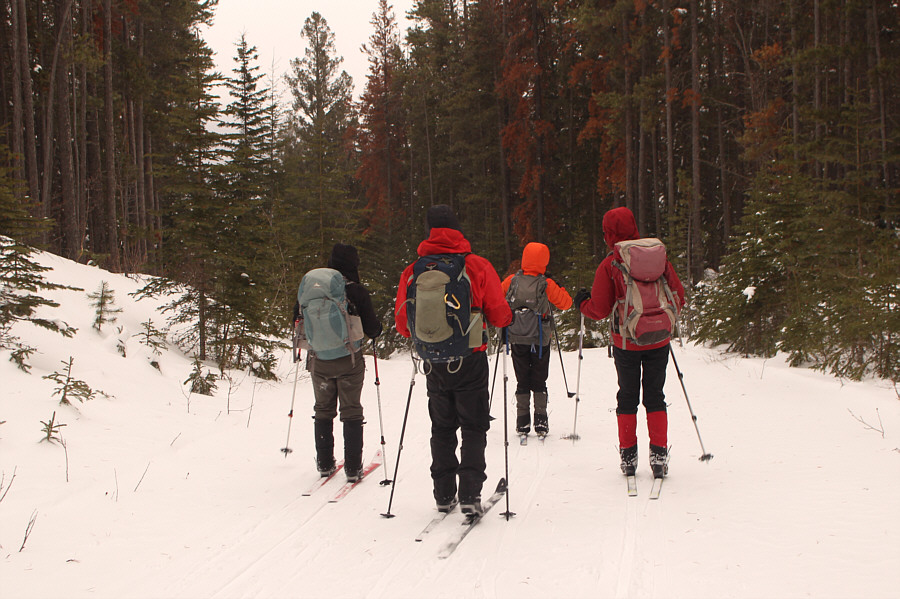 See you all at the bottom!