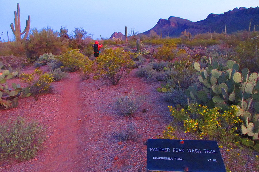 The temperature was nice and cool early in the morning.