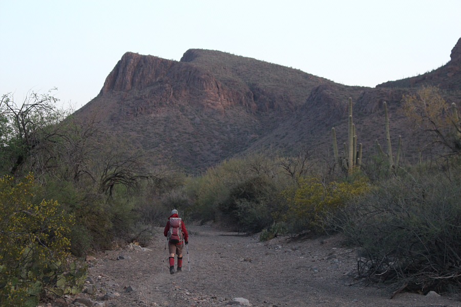 Even though the wash was mostly flat, the loose gravel felt rather sluggish to walk through.