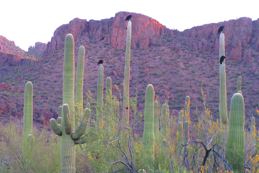 Safest place to rest or poop!