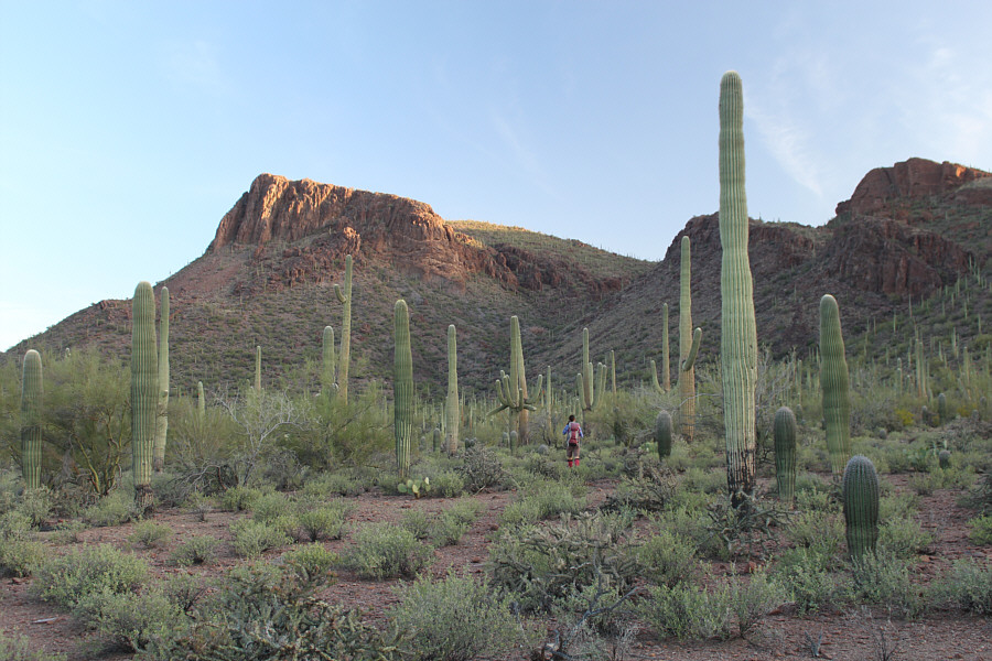 Not terrible bushwhacking, but watch your step nonetheless!