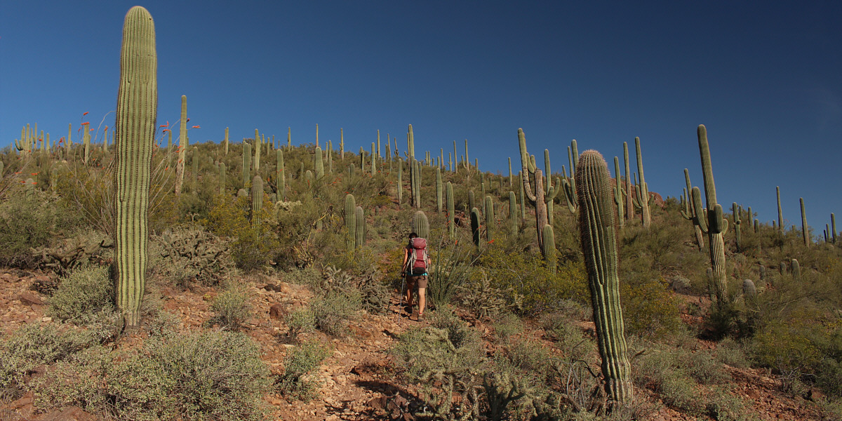 Very foreshortened view here--it's a longer hike than it looks!