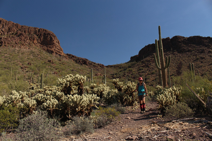 Even on this trail, watch where you step!