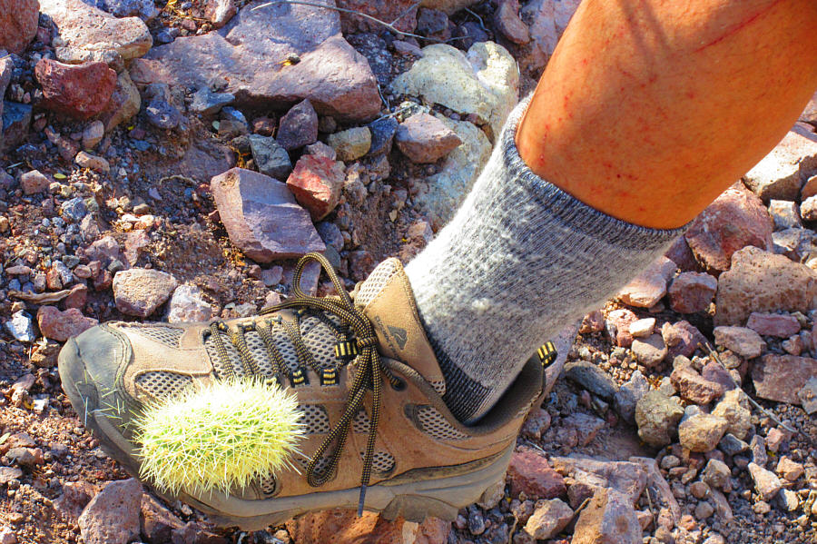 I just pulled one out a few minutes earlier...son of a b*tch!