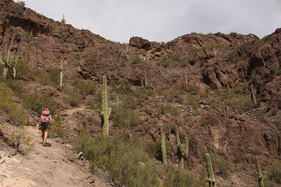 I shake my little tush on the catwalk...