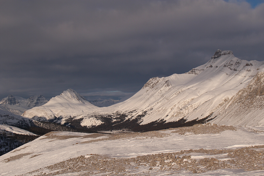 It's like seeing a couple of old friends...