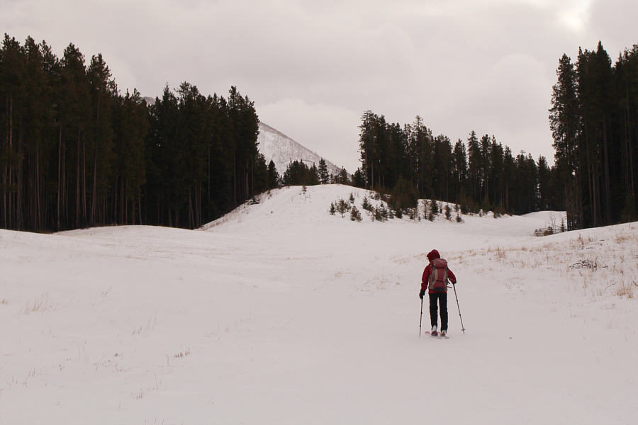 Although more snow was needed here, the existing snow quality was not bad.