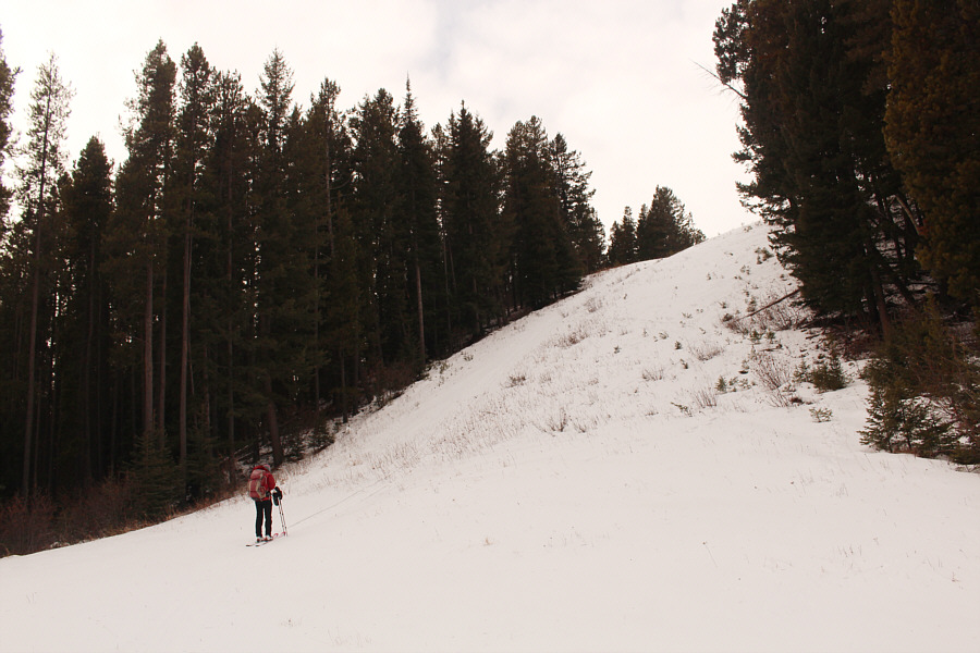 Not quite ready for skiing yet!