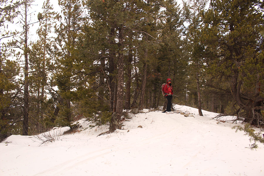 This is actually somewhat outside the actual ski area.