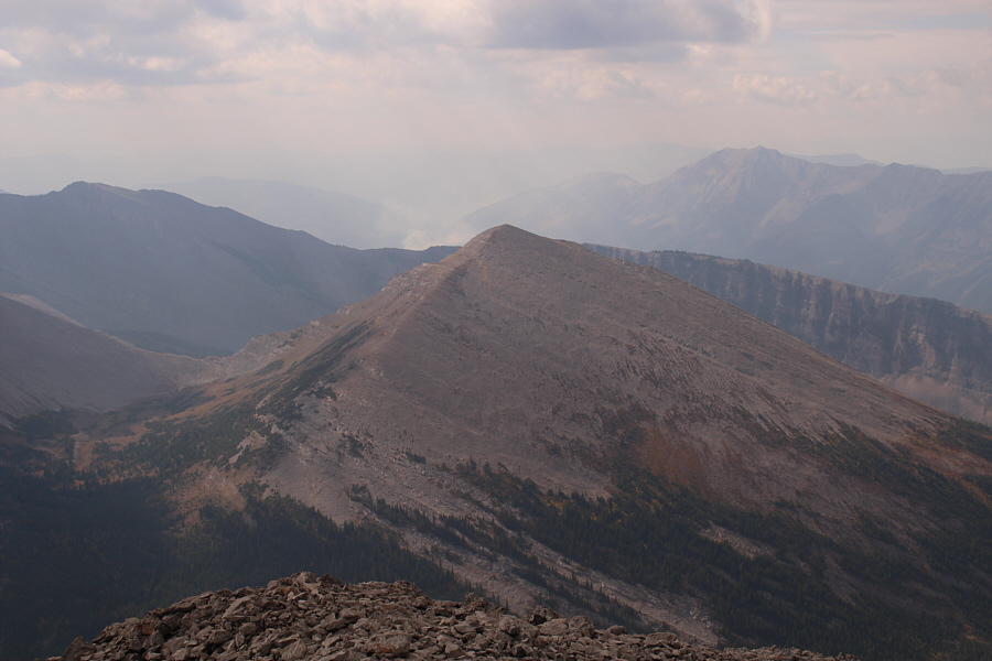 Everything is burning this year!