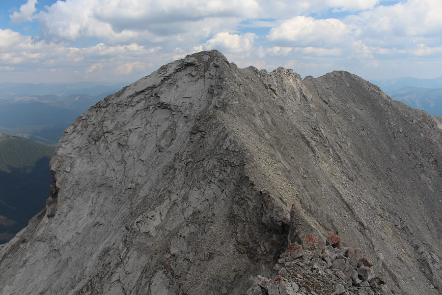 Not for the faint of heart!