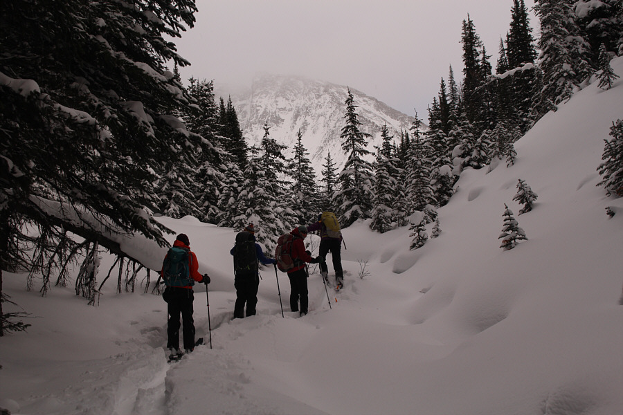 Whew! We're all still in one piece!