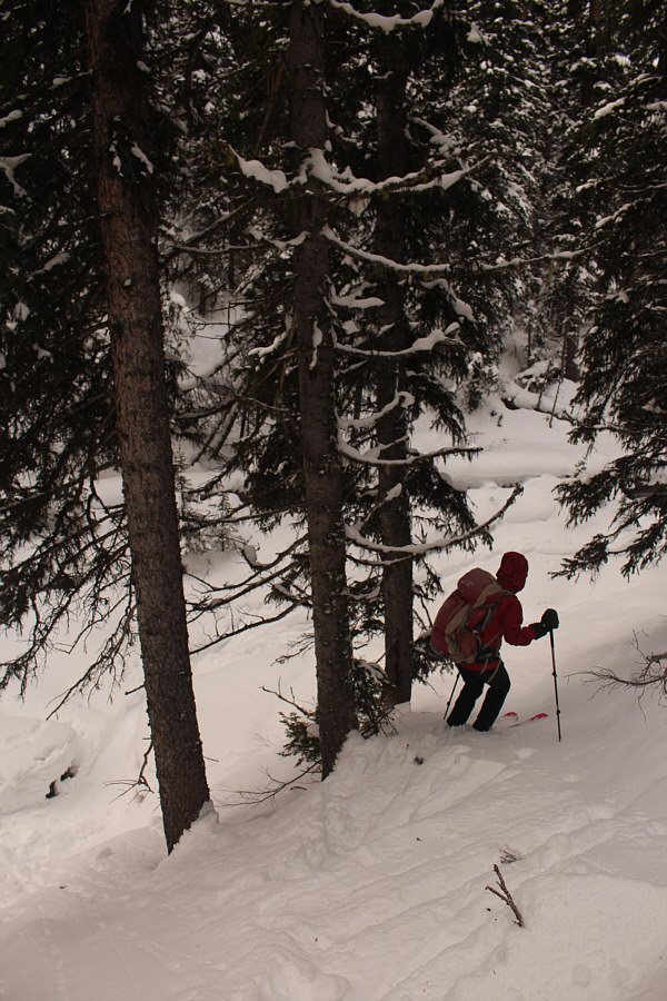 We're off-track here!