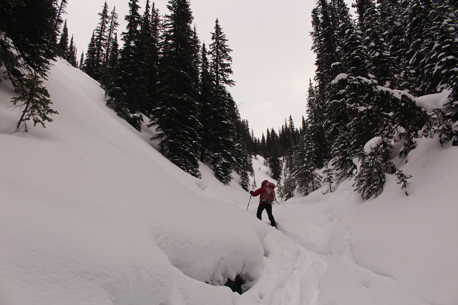 Going up this way is not recommended!