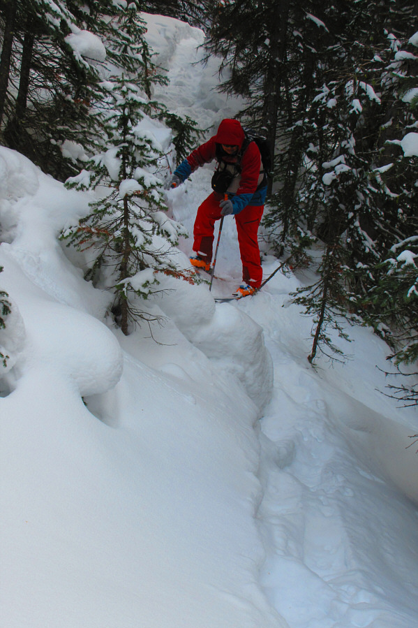 We don't need no stinkin' snowshoes!