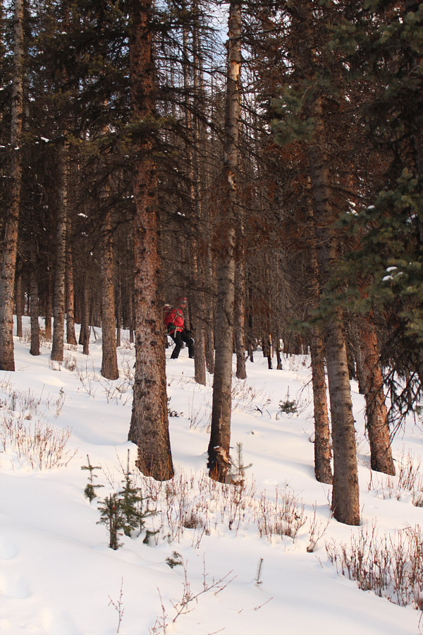 And doing quite well from the looks of it!