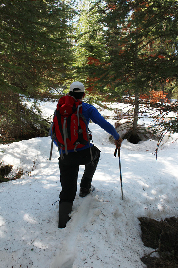 There...already much better than "White Ridge"!