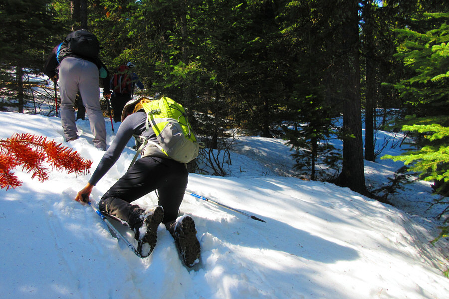 Who's idea was it to come here??