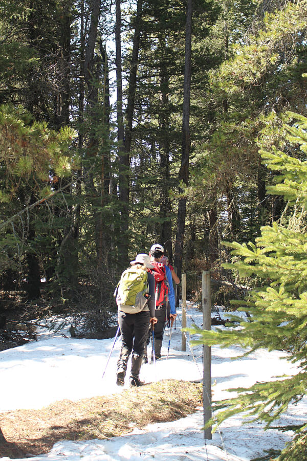 Well, I guess we won't have any problems finding our way back...