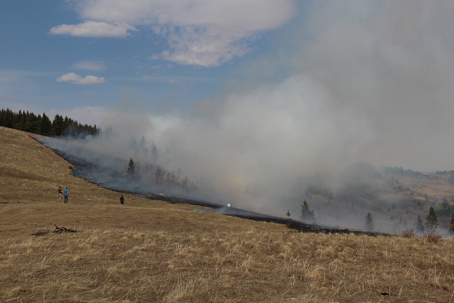 How about burning down all the trees near the top of Sand Bluff?