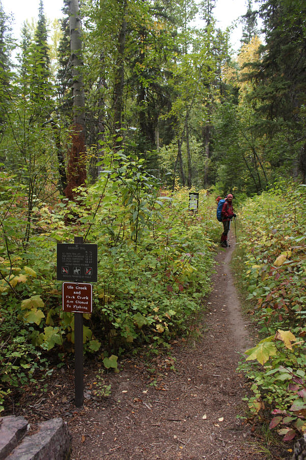 Watch your step as horses are also allowed on this trail!