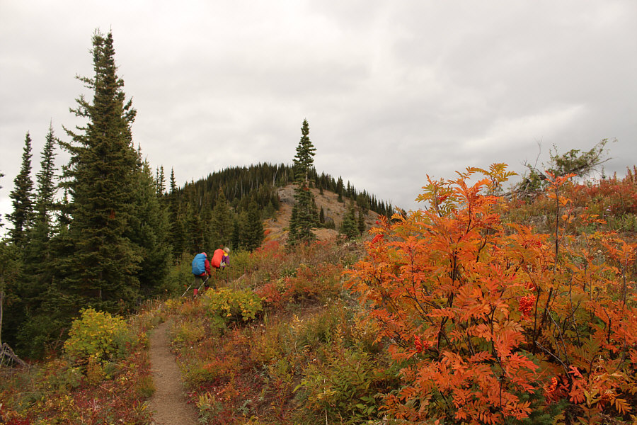 Raff hurried ahead and is probably already at the top.