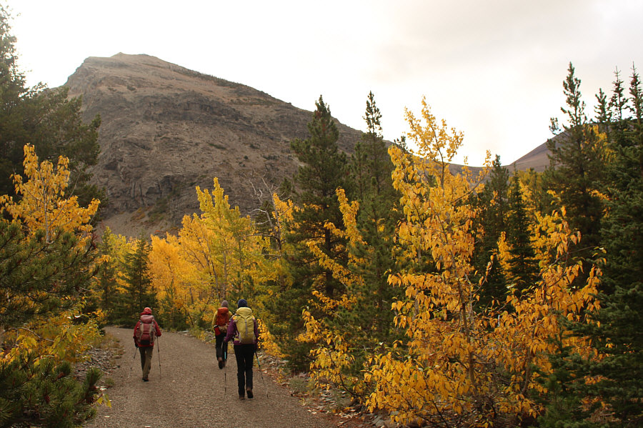 Weve already gotten our requisite bushwhacking of the day out of the way!