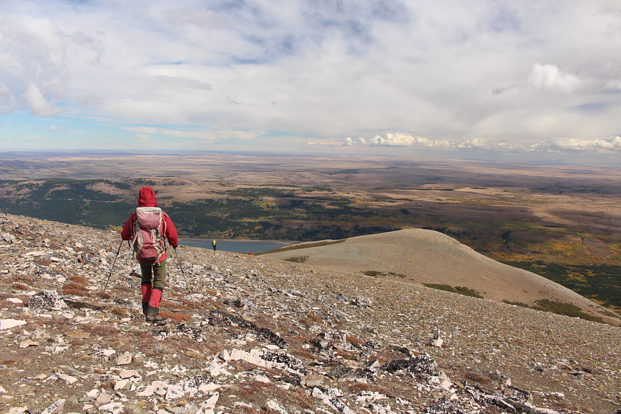 Only diehard peakbaggers would bother with this insignificant bump!