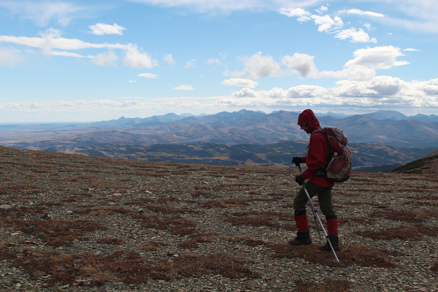 So much more to explore!