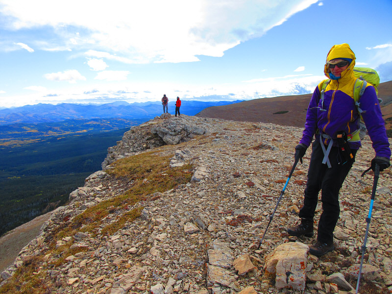 I wonder where The Tail is?